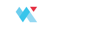 NETINT 로고